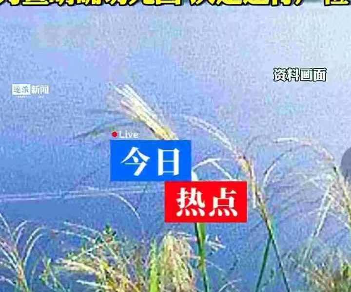 【鹤霖新闻观察】《鹤霖讲留学》之“留学安全”与“安全留学”